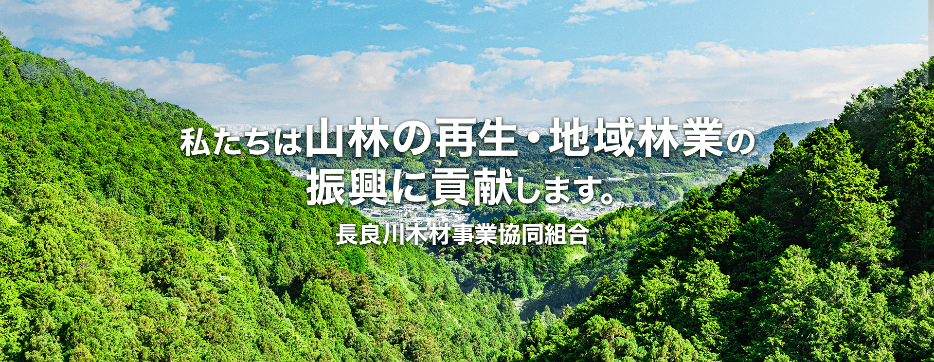 私たちは山林の再生・地域林業の 振興に貢献します。